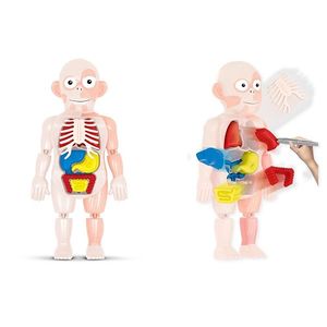 KIT MÉDICO TOYNG CORPO HUMANO