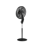 image-removebg-preview---2025-03-19T154712.695.png